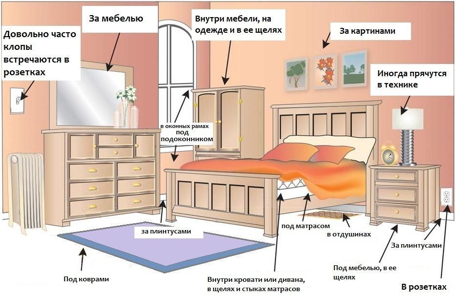 Обработка от клопов квартиры в Магнитогорске